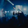 カイ（小笠原海）
