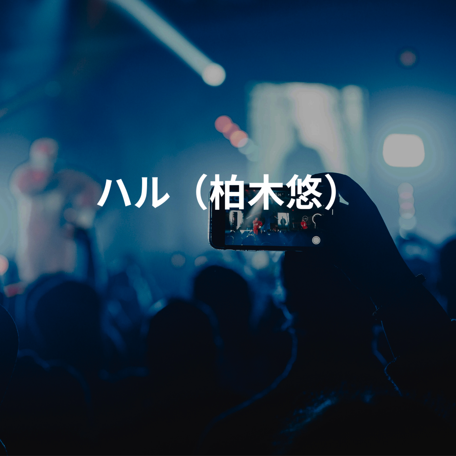 ハル（柏木悠）