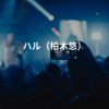 ハル（柏木悠）