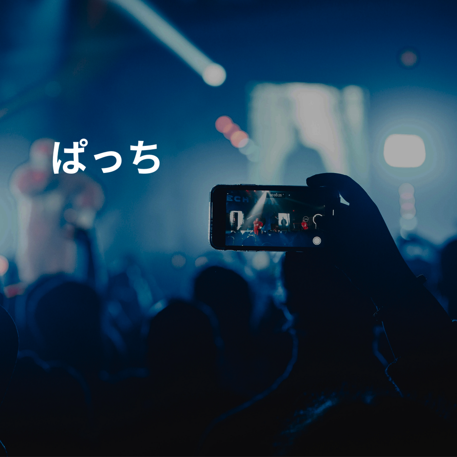 ぱっち