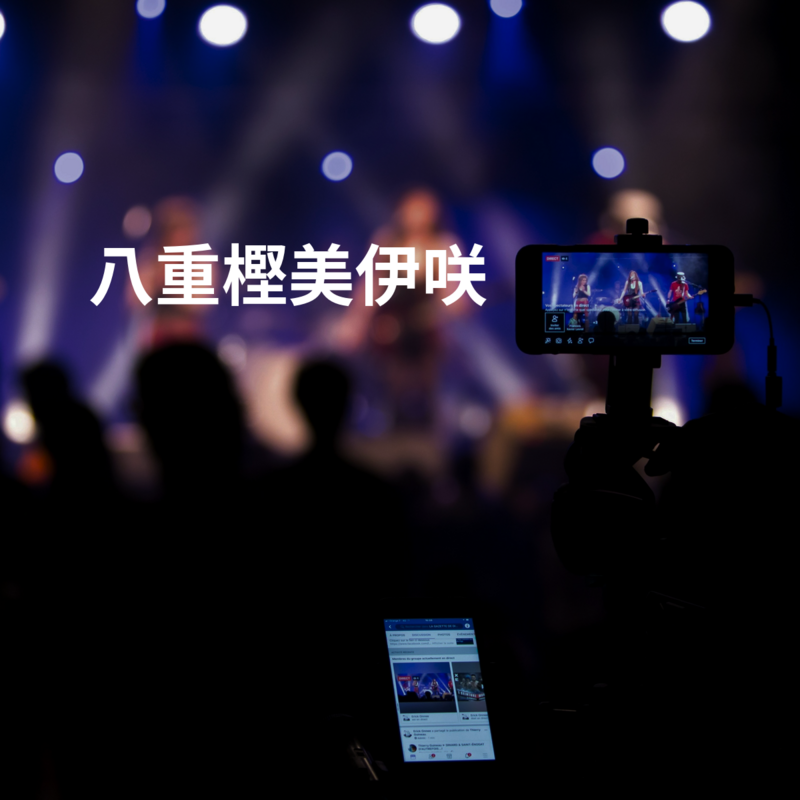 八重樫美伊咲	