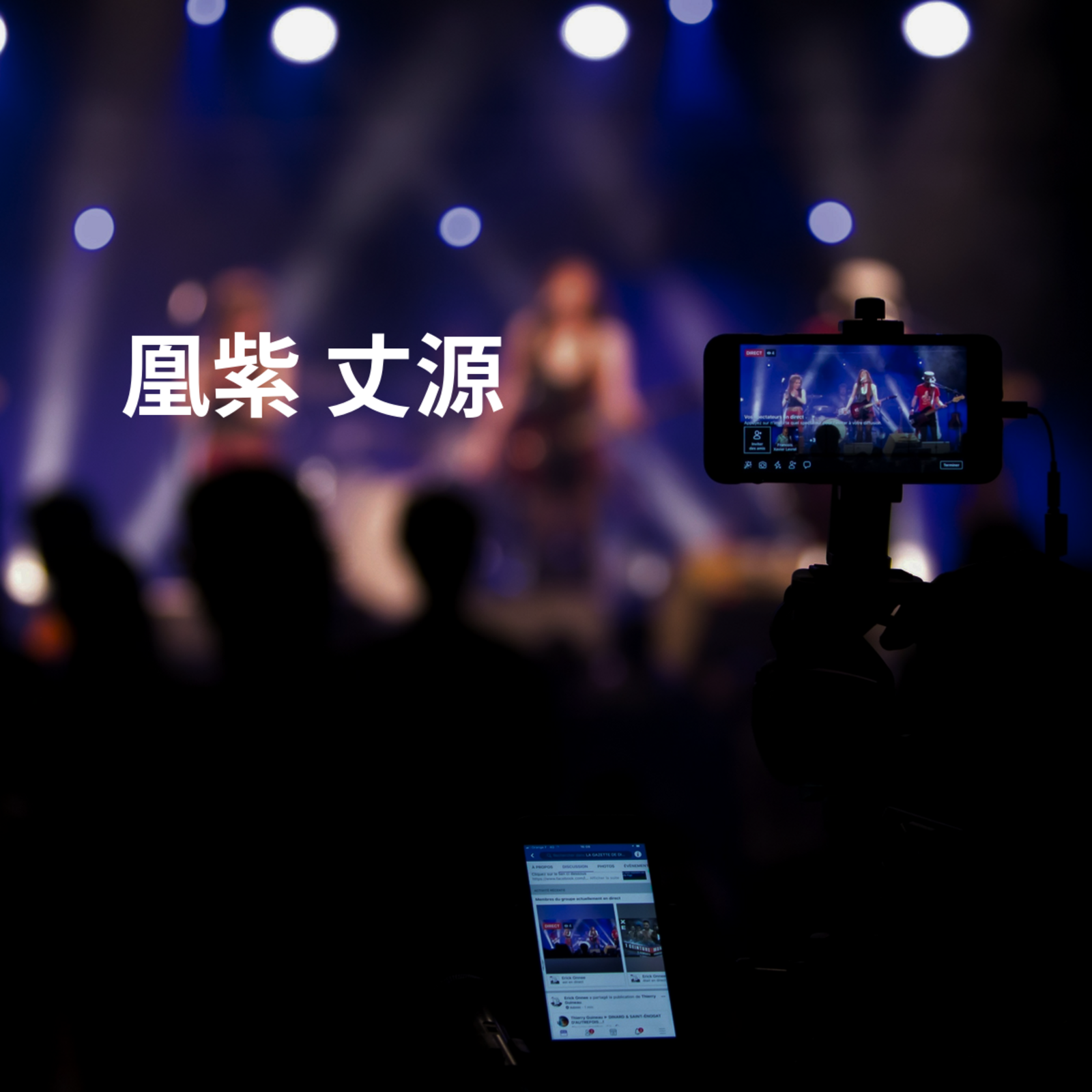 凰紫 丈源
