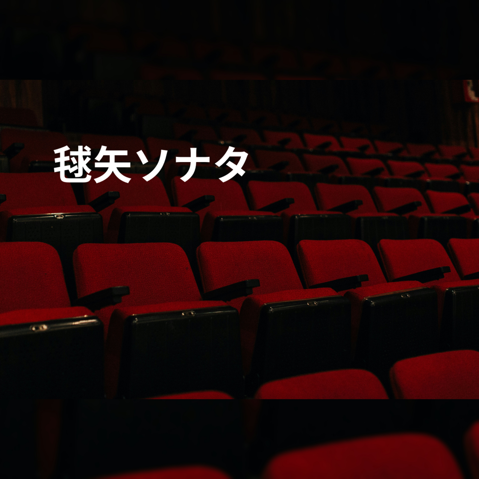 毬矢ソナタ