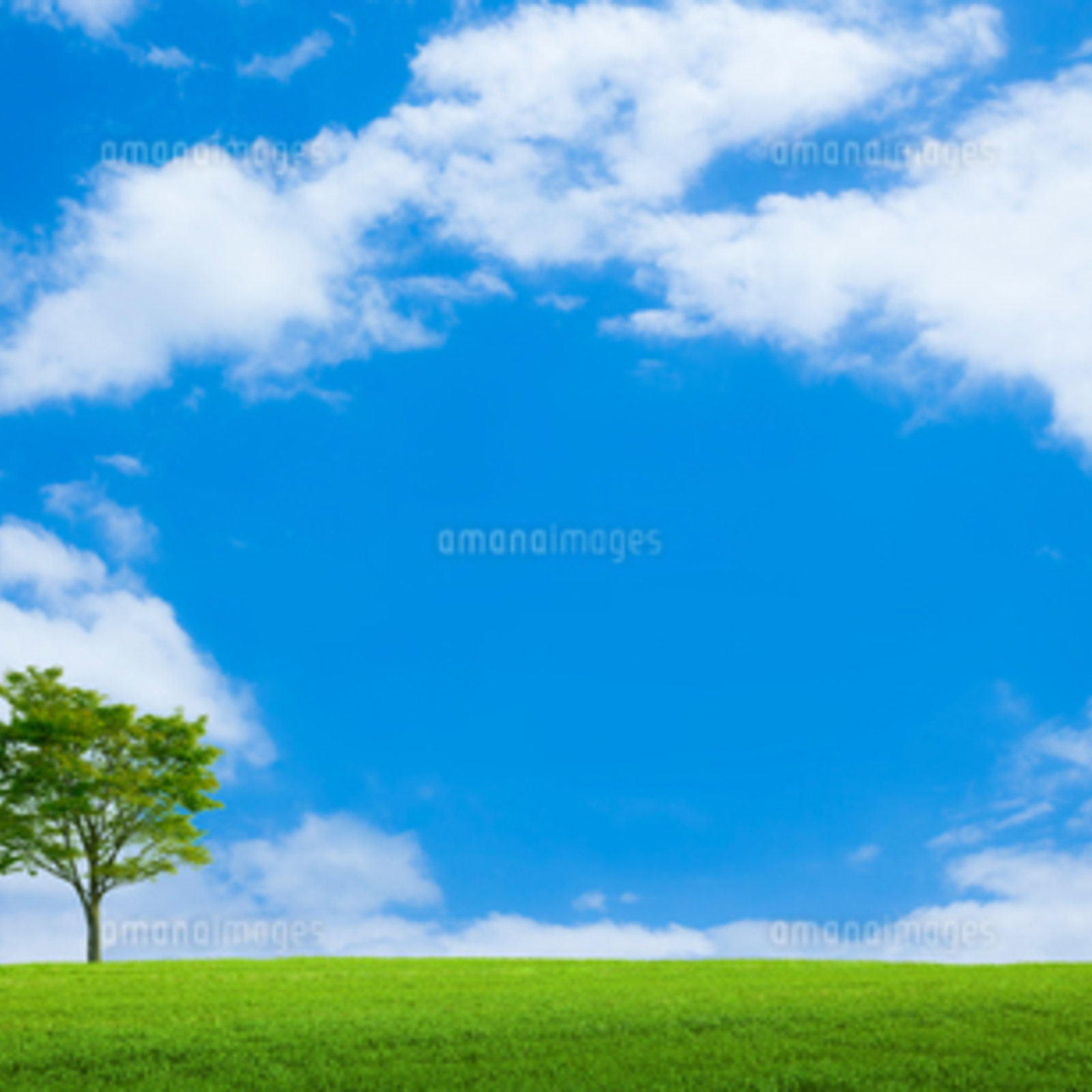 フレンドリーサークル