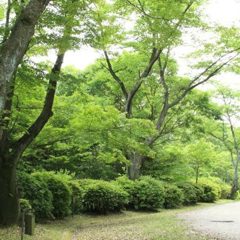 お気軽運動部