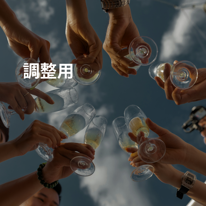調整用