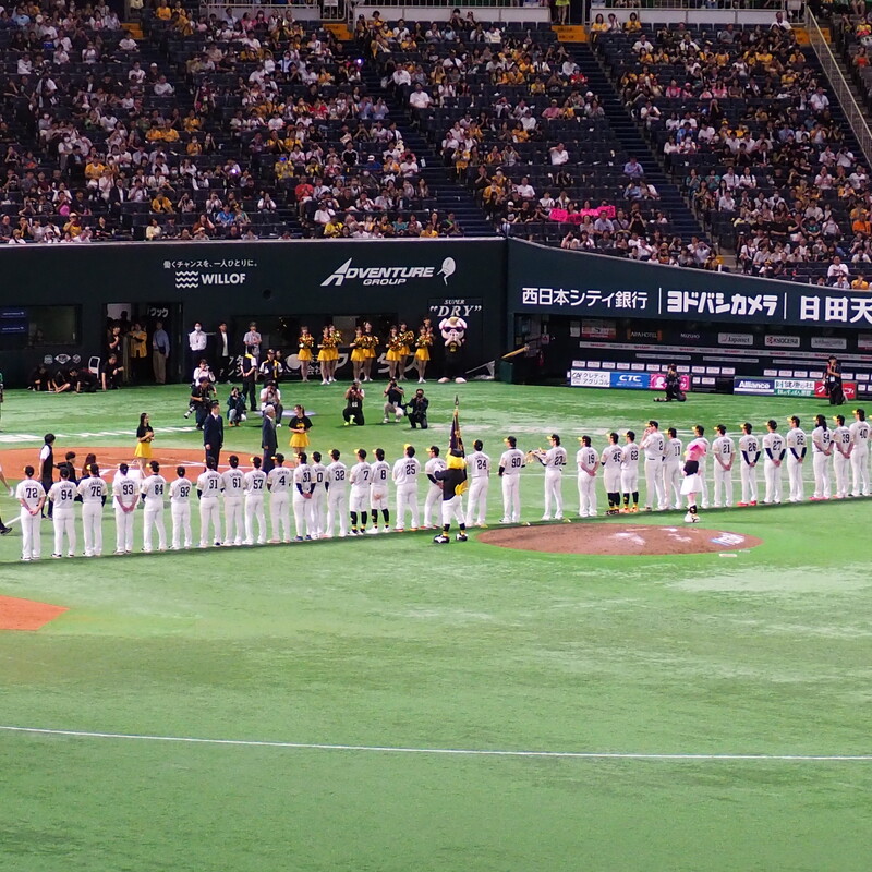 プロ野球応援部