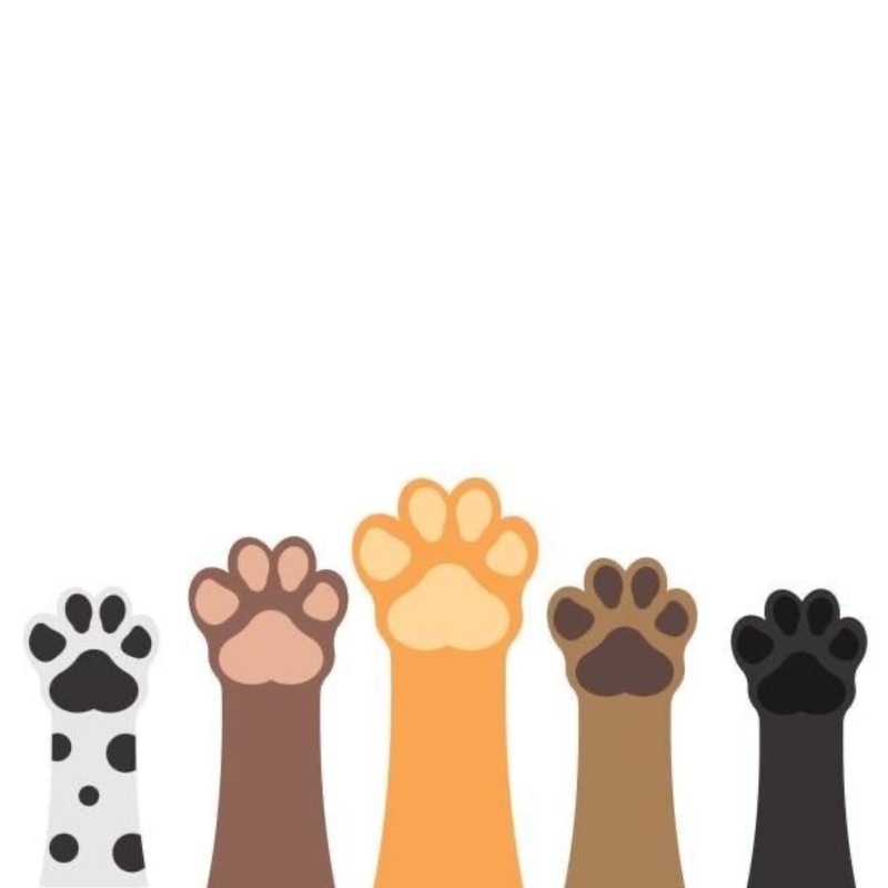 Paw Pals（肉球仲間）🐶🐾