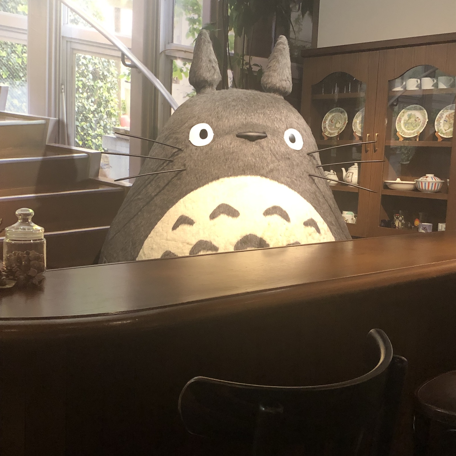 岐阜県周辺で一緒に出かけてくれる友達募集中🏞️