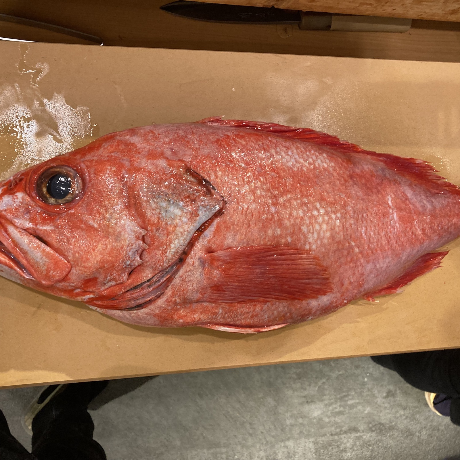 旬を食らおう！