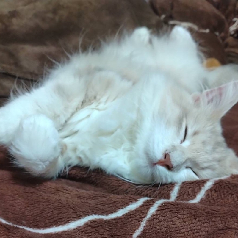 行ってみたいやってみたいをやるサークル！