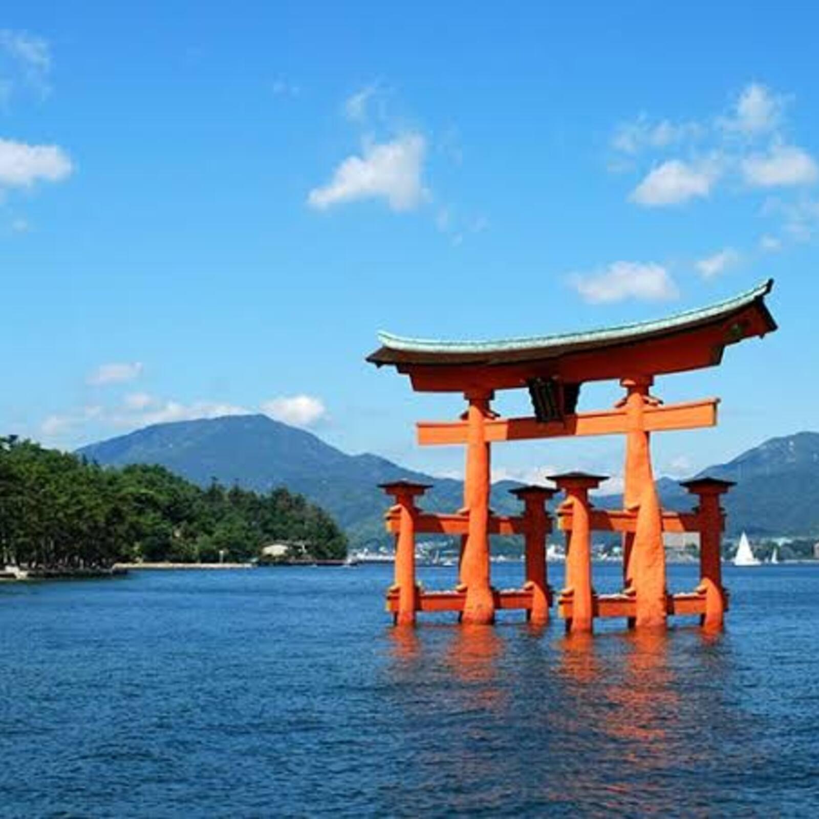 友活❣️福岡在住⛩️広島、中国地方出身