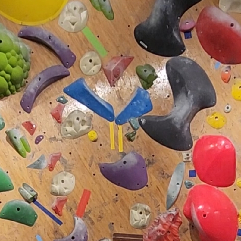 一緒に楽しむボルダリングサークル