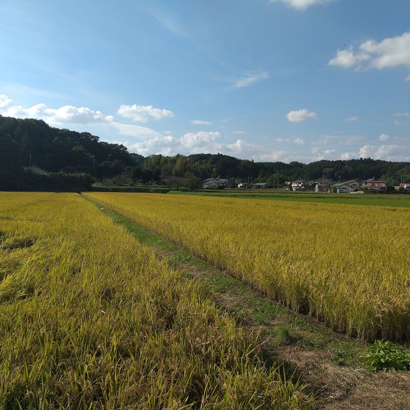 旅行サークル M-Handle β