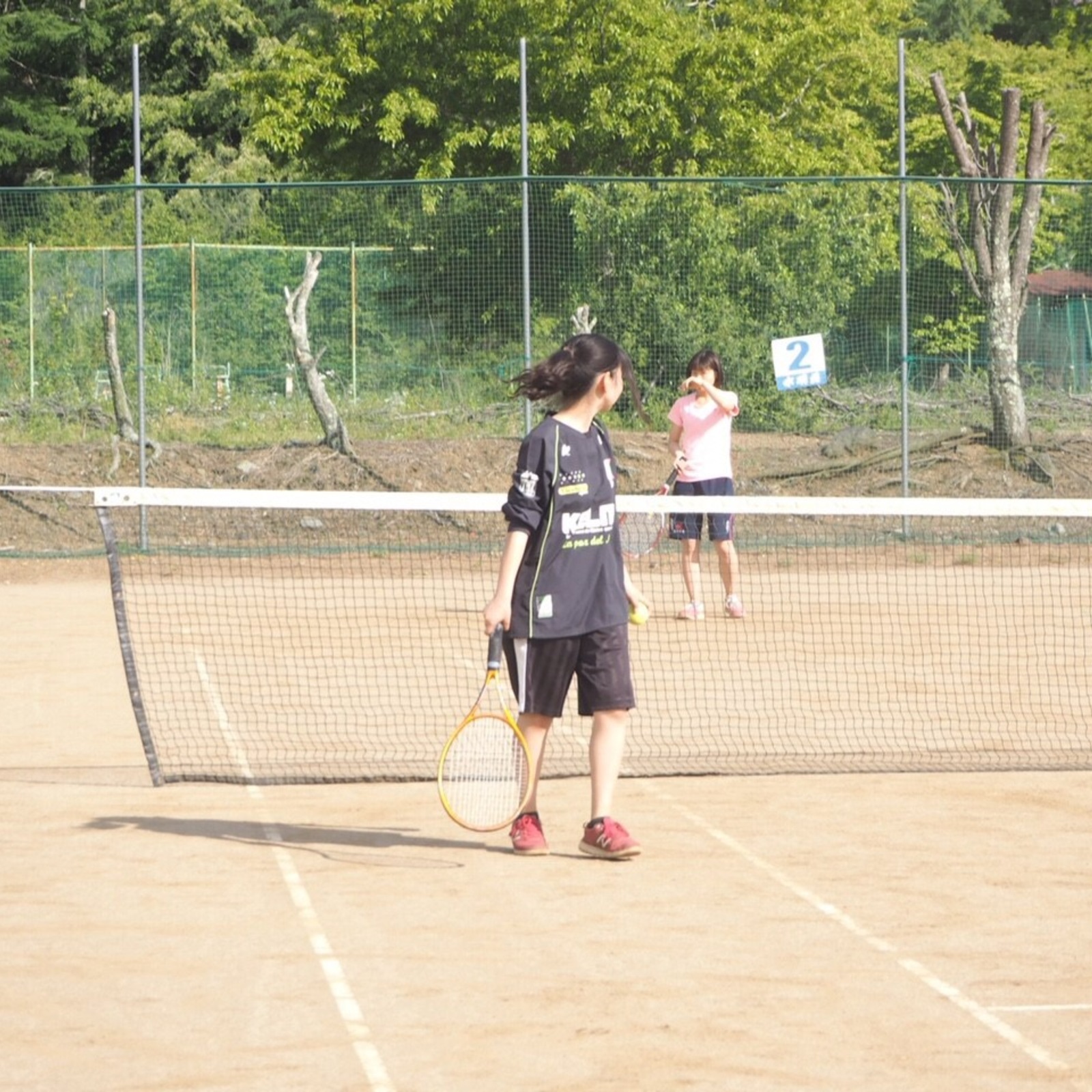 わいわいテニス！🎾