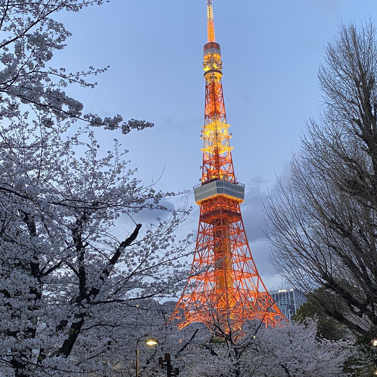 上京組