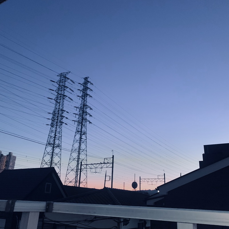 ノラネコラボ