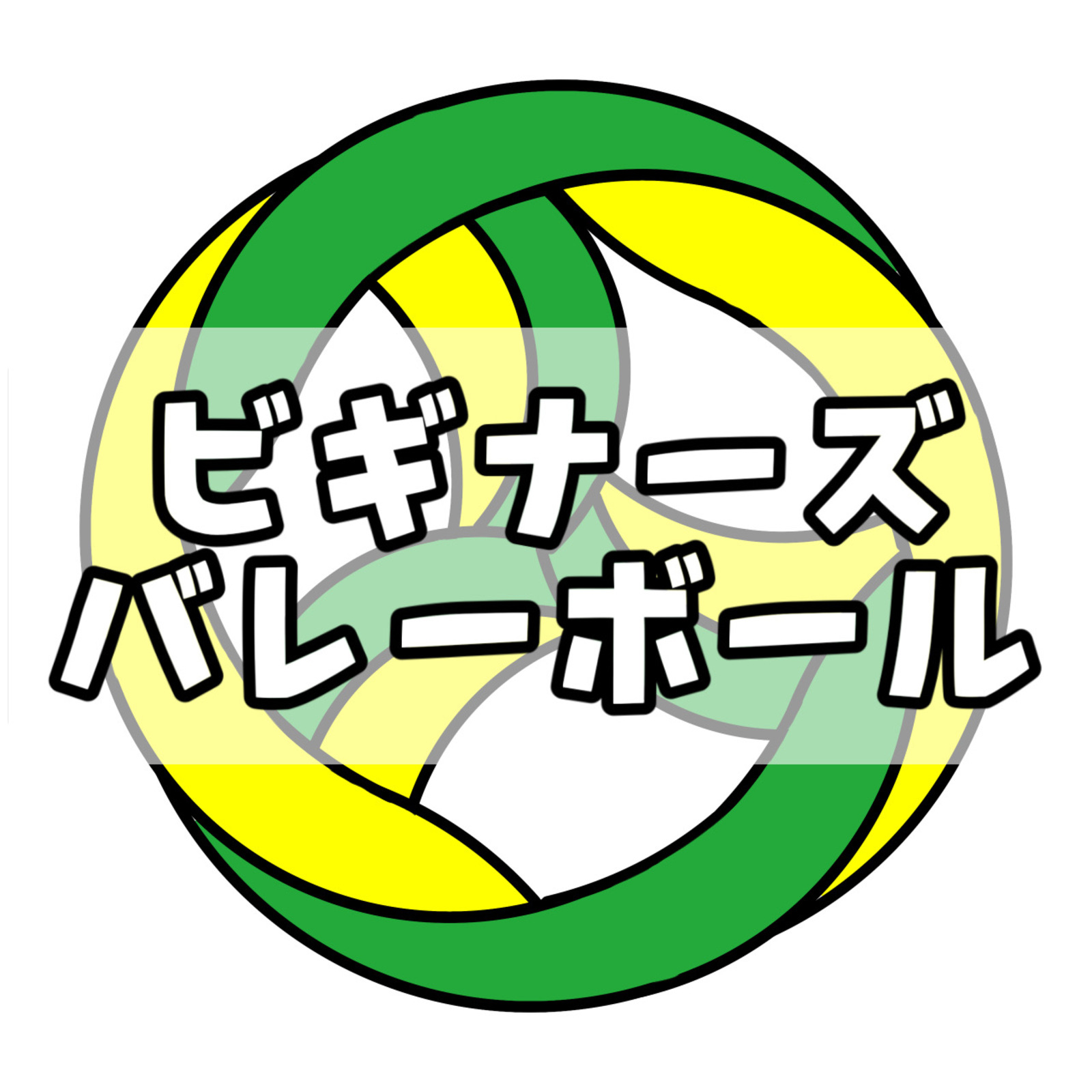 ビギナーズバレーボール
