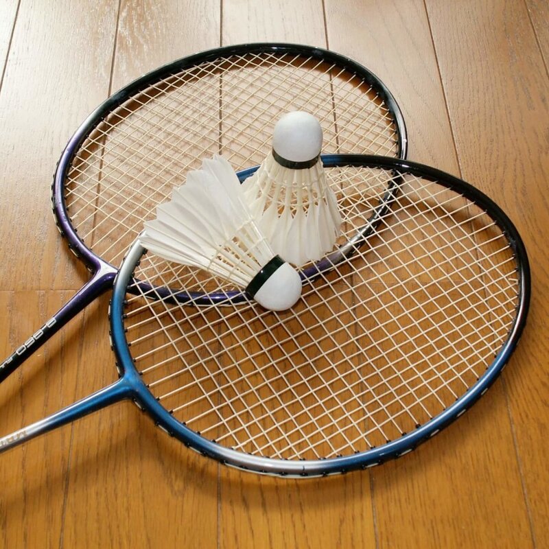 chi badminton🏸