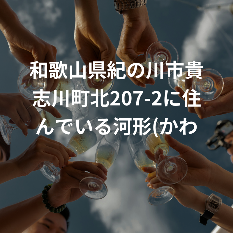 和歌山県紀の川市貴志川町北207-2に住んでいる河形(かわがた)です。