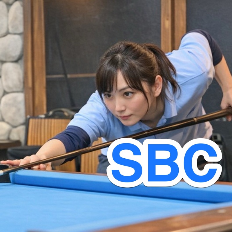 はじめてのビリヤード🎱(初心者向けのビリヤードサークル)⭐️