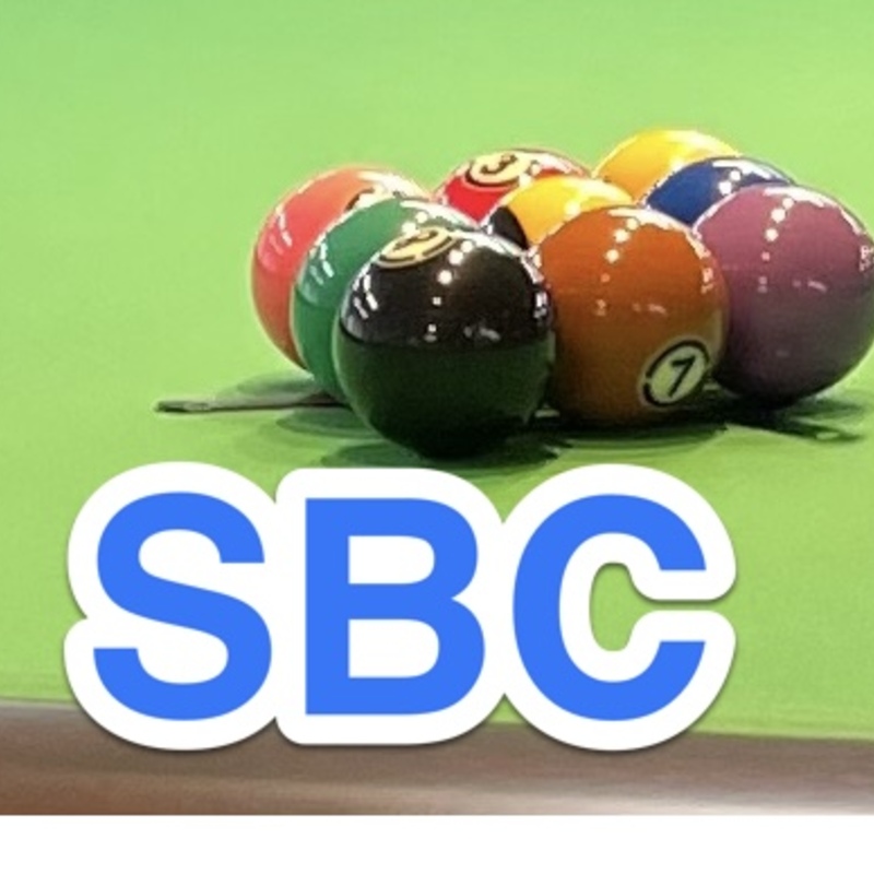 はじめてのビリヤード🎱(初心者向けのビリヤードサークル)