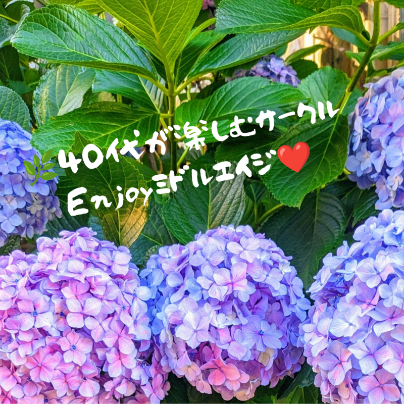 40代が楽しむサークル🌿Enjoyミドルエイジ