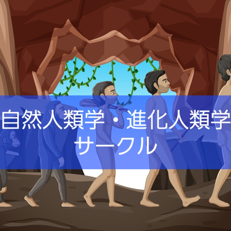 自然人類学・進化人類学サークル
