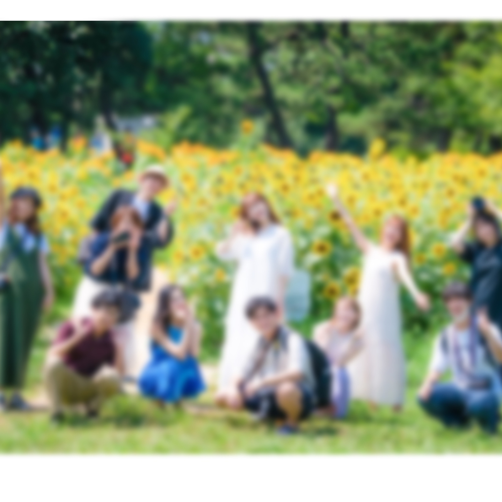写真・カメラについて語ろう会