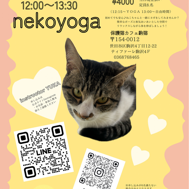 保護猫カフェでねこよが　7月26日土曜