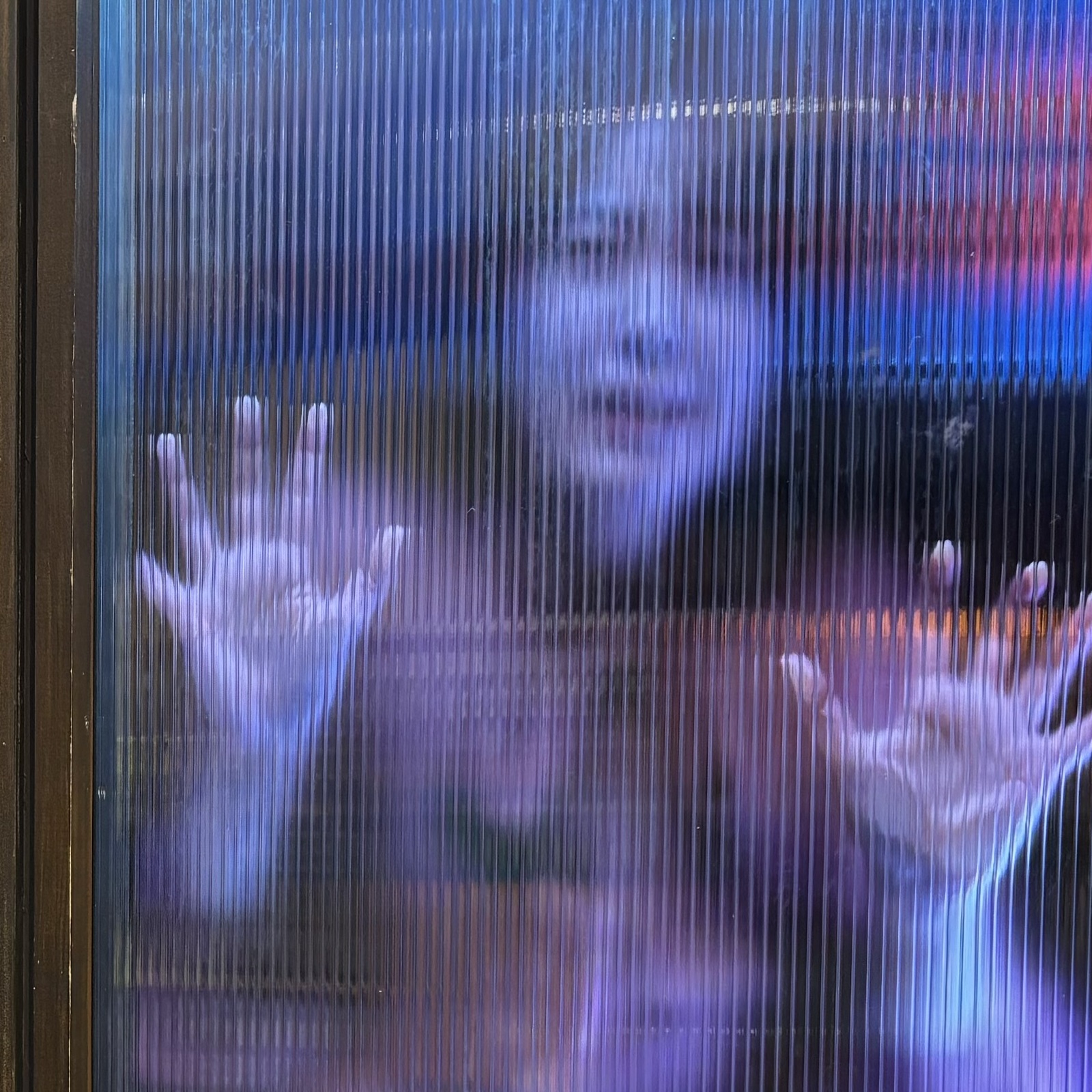宇宙人、幽霊、ホラー、オカルト