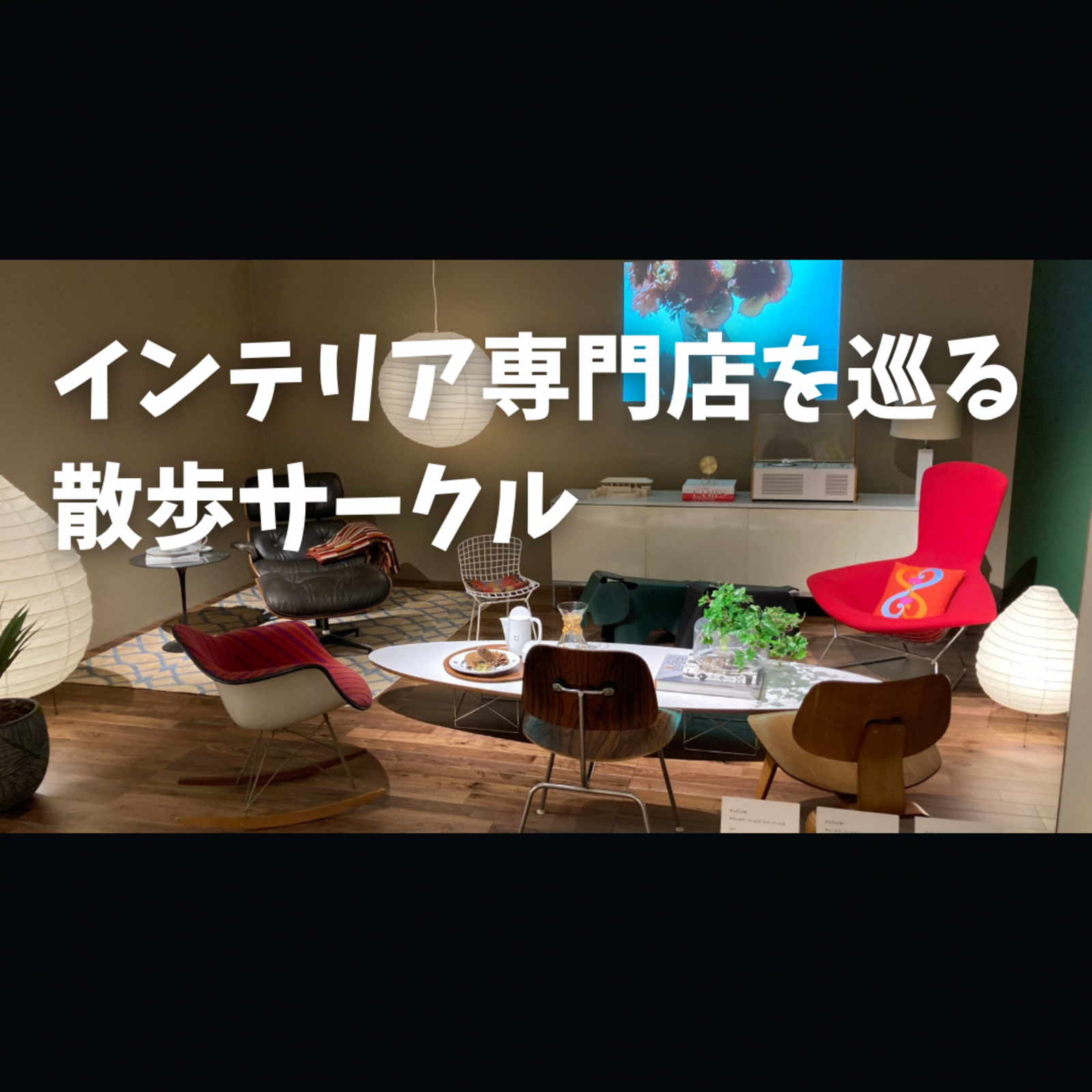 インテリア専門店を巡る散歩サークル