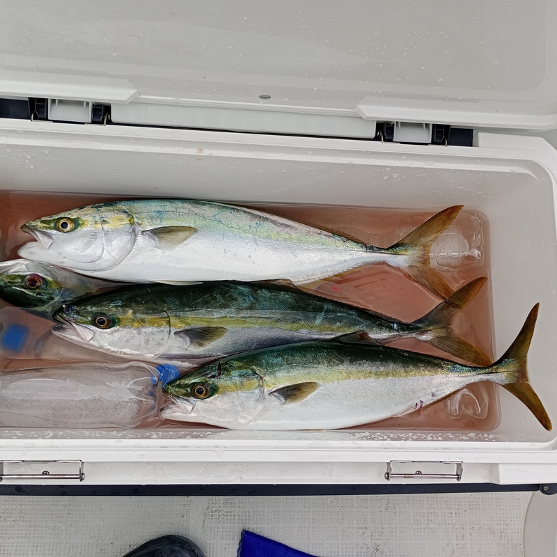 船釣り部（淡路島）