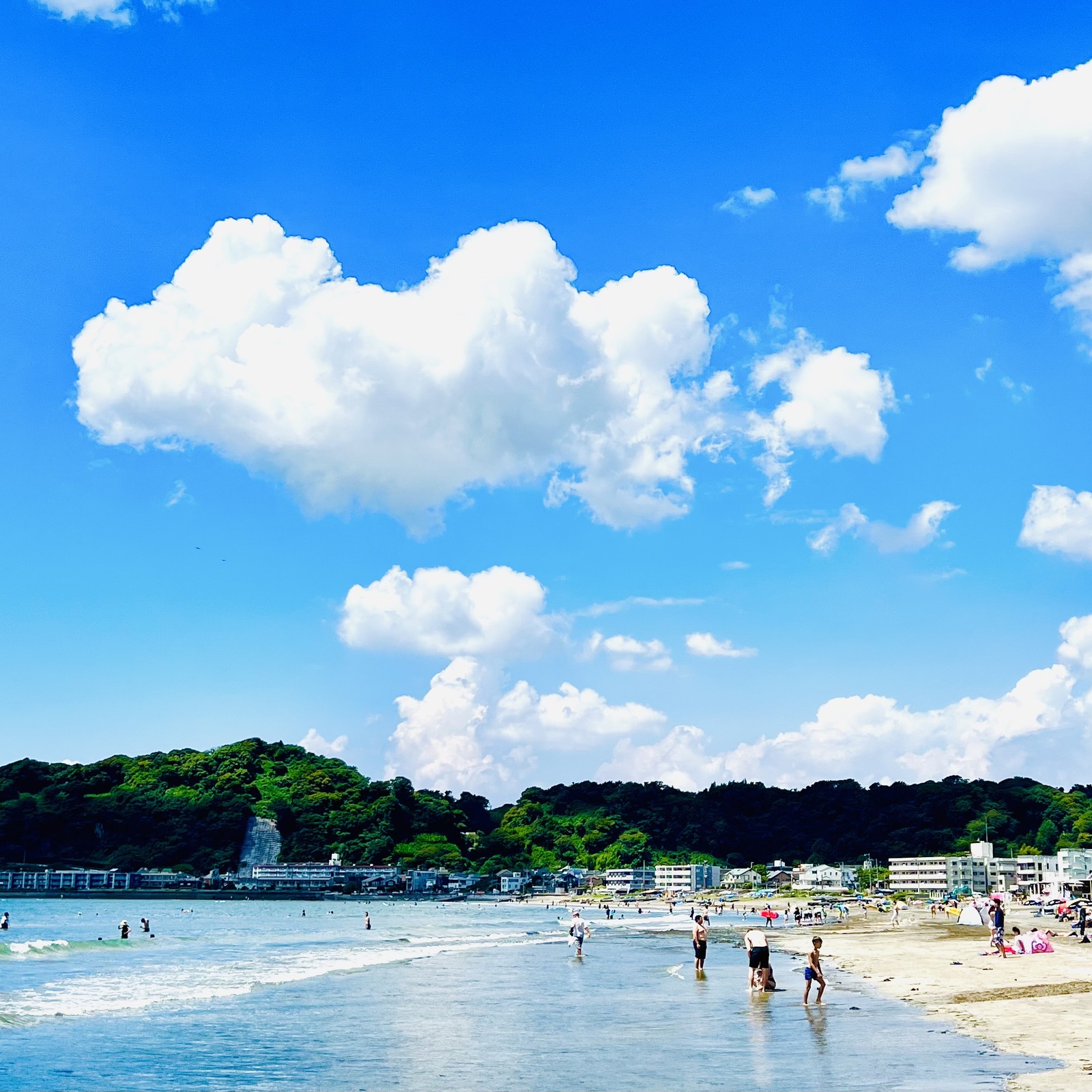 大人の青春倶楽部