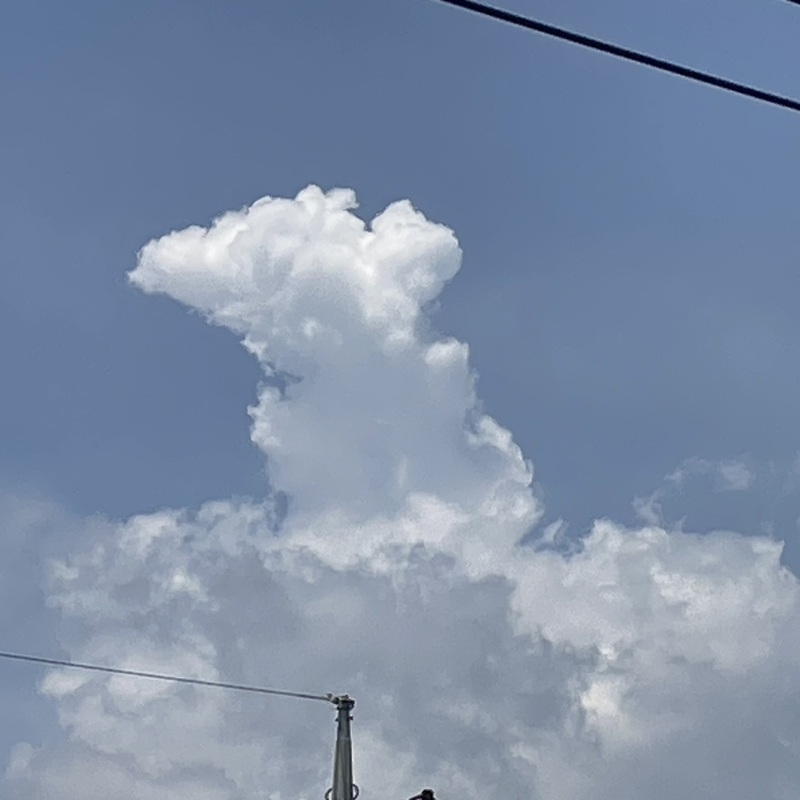 ふしぎ倶楽部