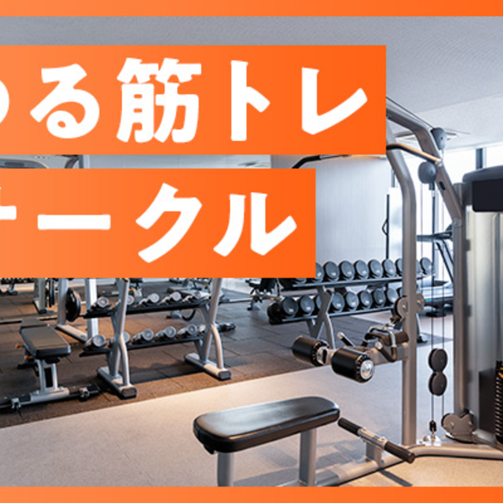 ゆる筋トレサークル
