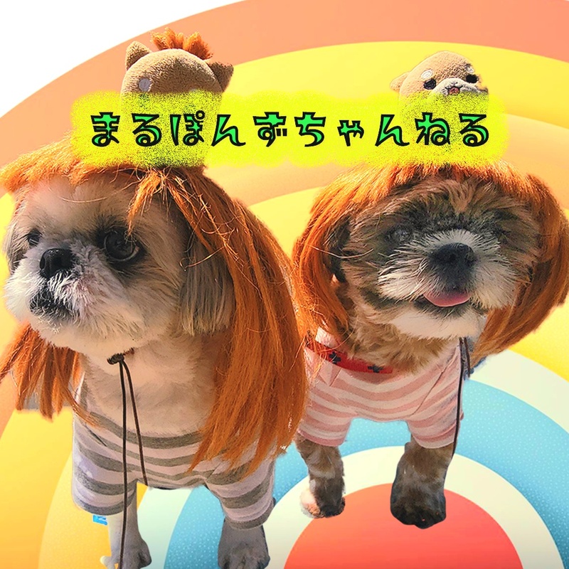 愛犬交流会🐶＆YouTube撮影