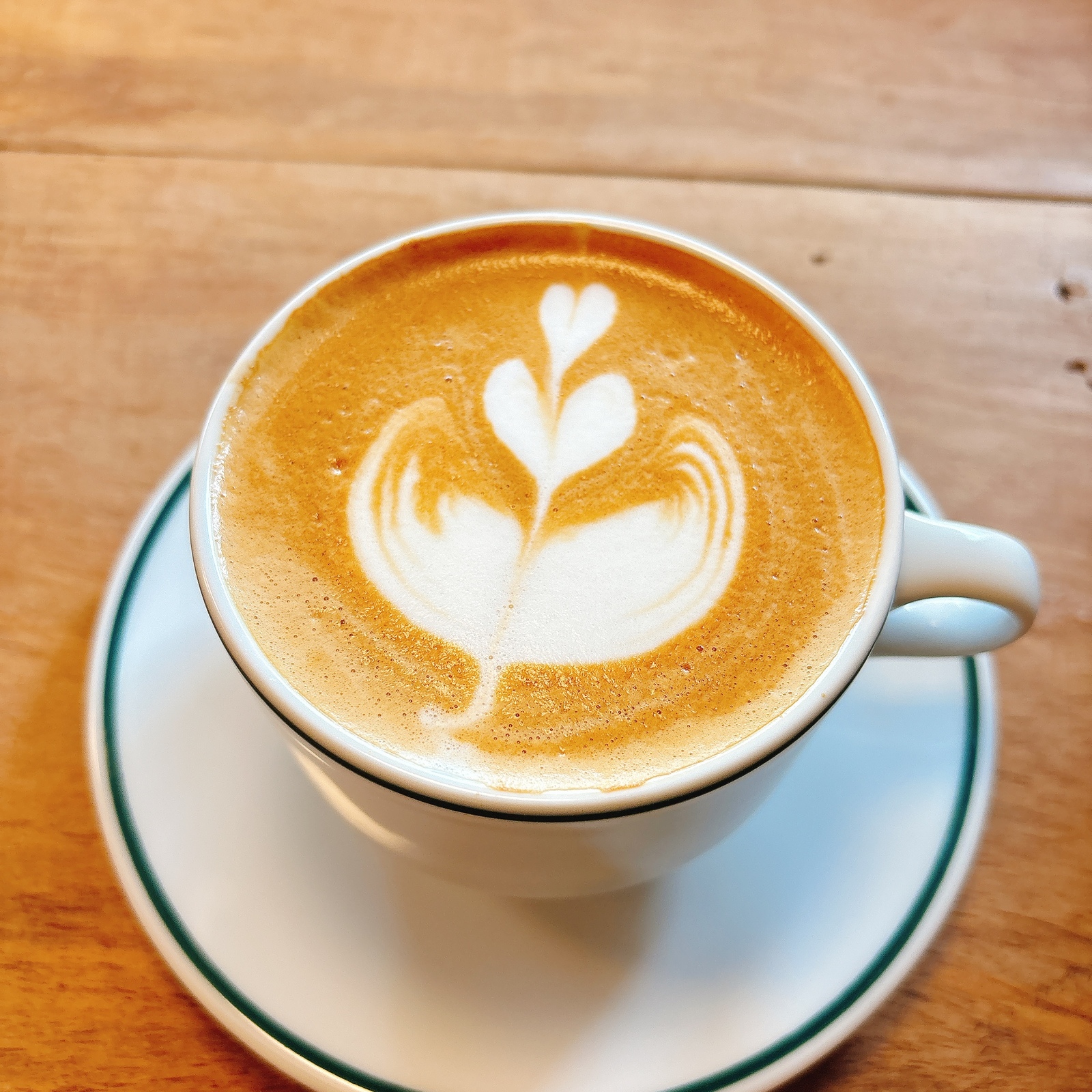 カフェサークル