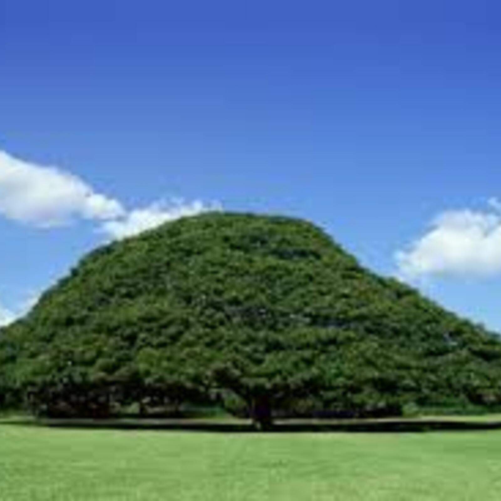 絶食系の集まり（2名以上で開催）