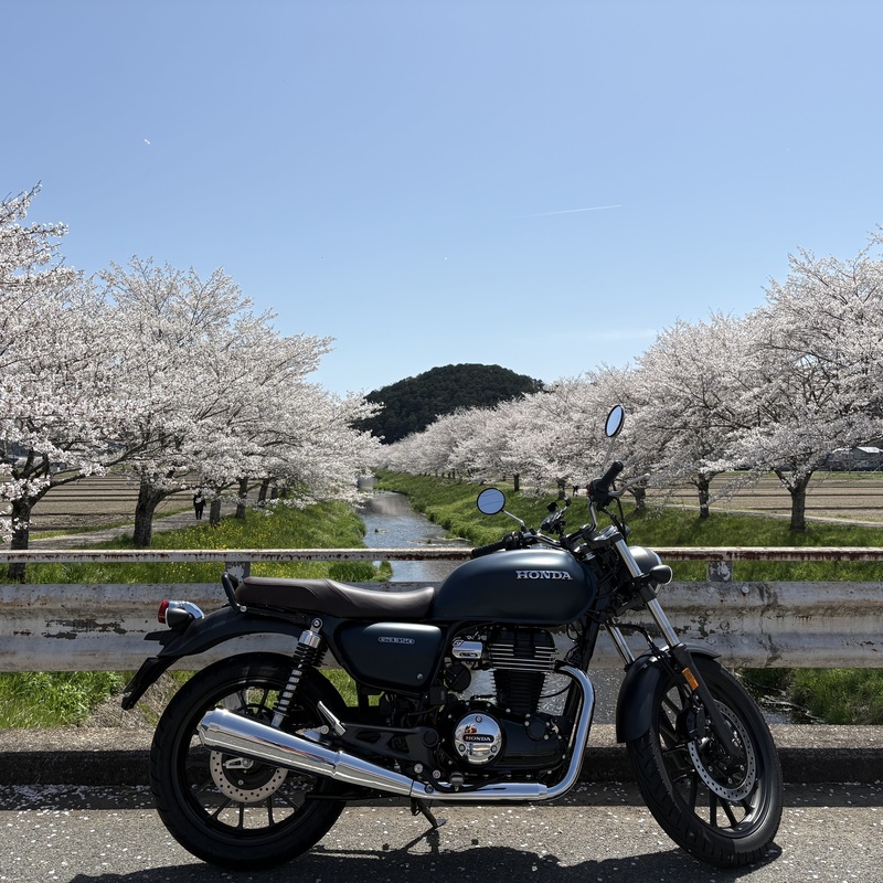 べんきょー