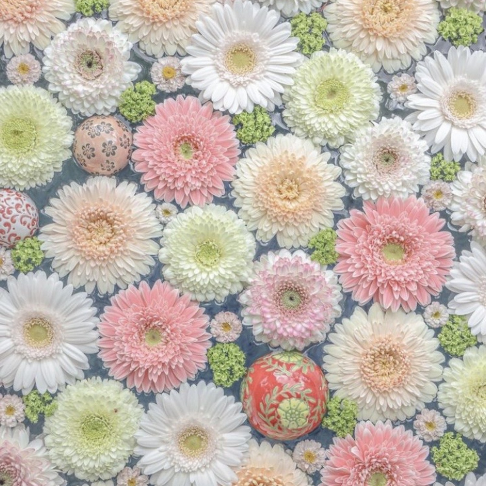 やってみたい事を色々やろうの会🧙