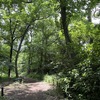 Circle Image