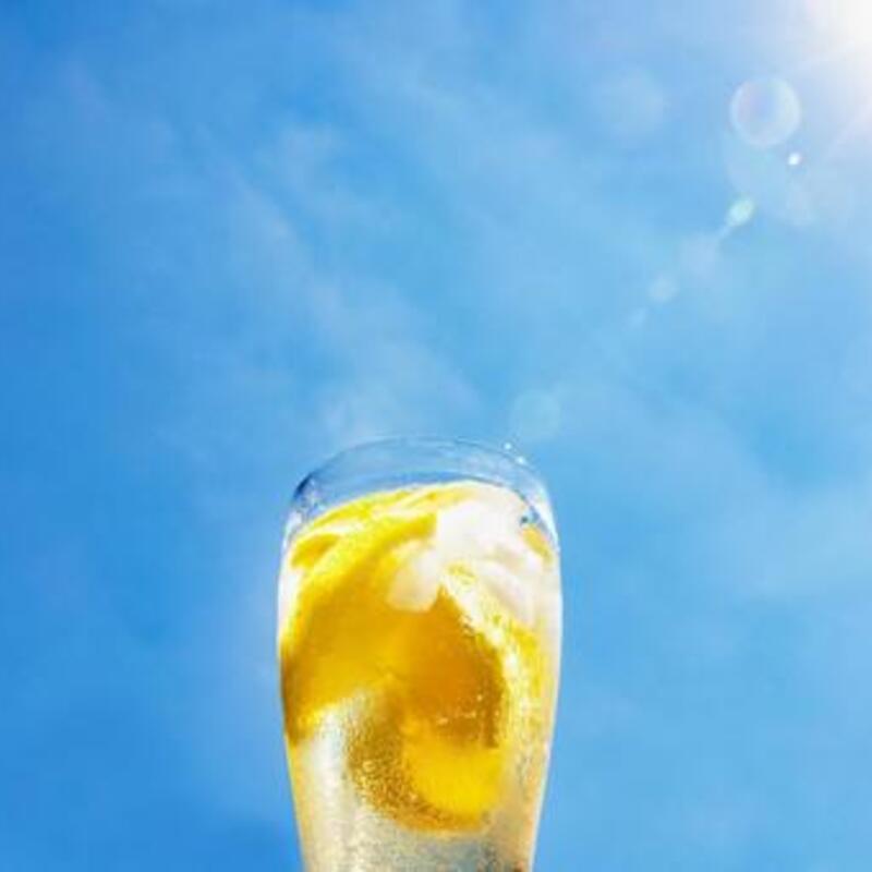 福岡社会人サークル｜シトラス 🍋