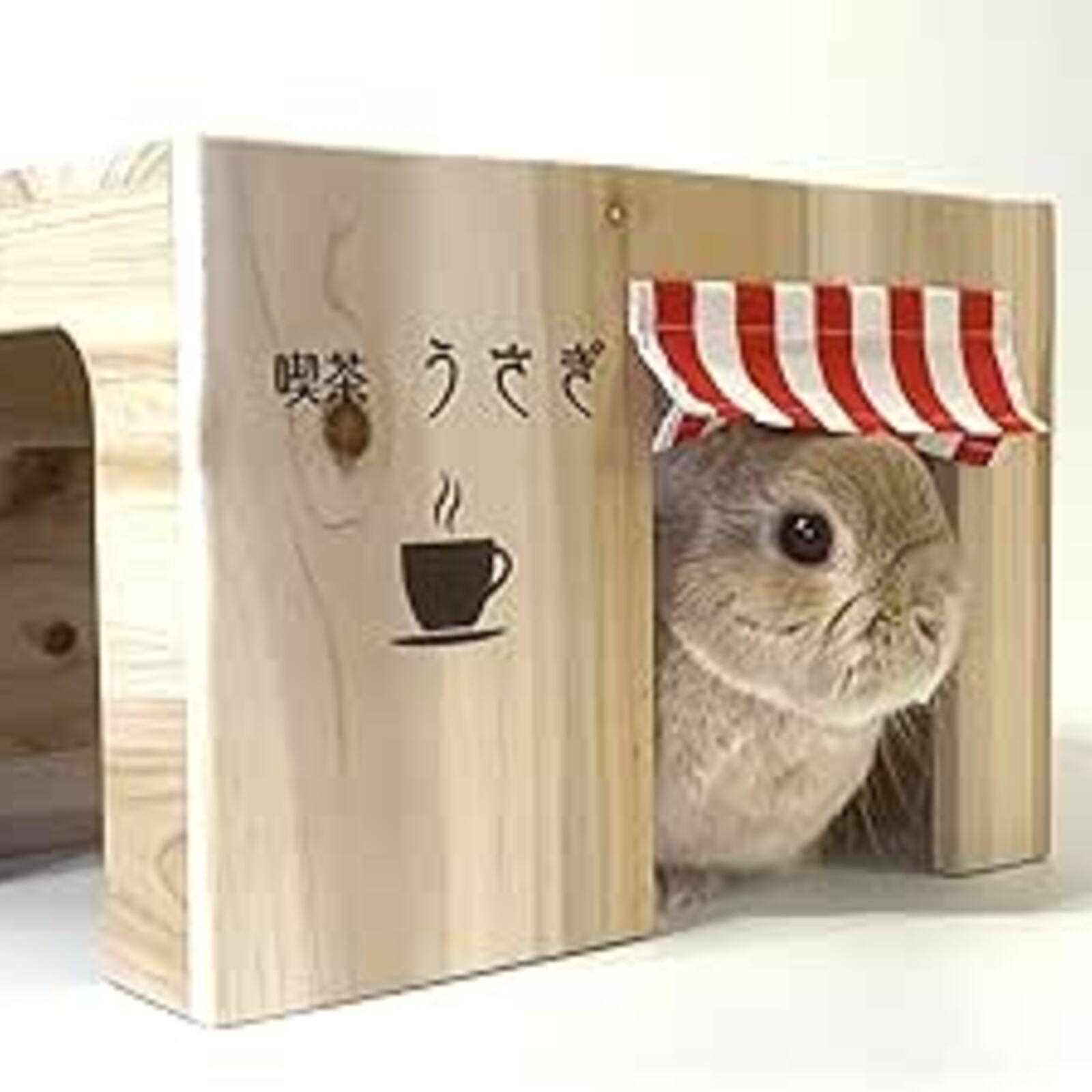 【喫茶うさぎ🐰】カフェやグルメ開拓🍪