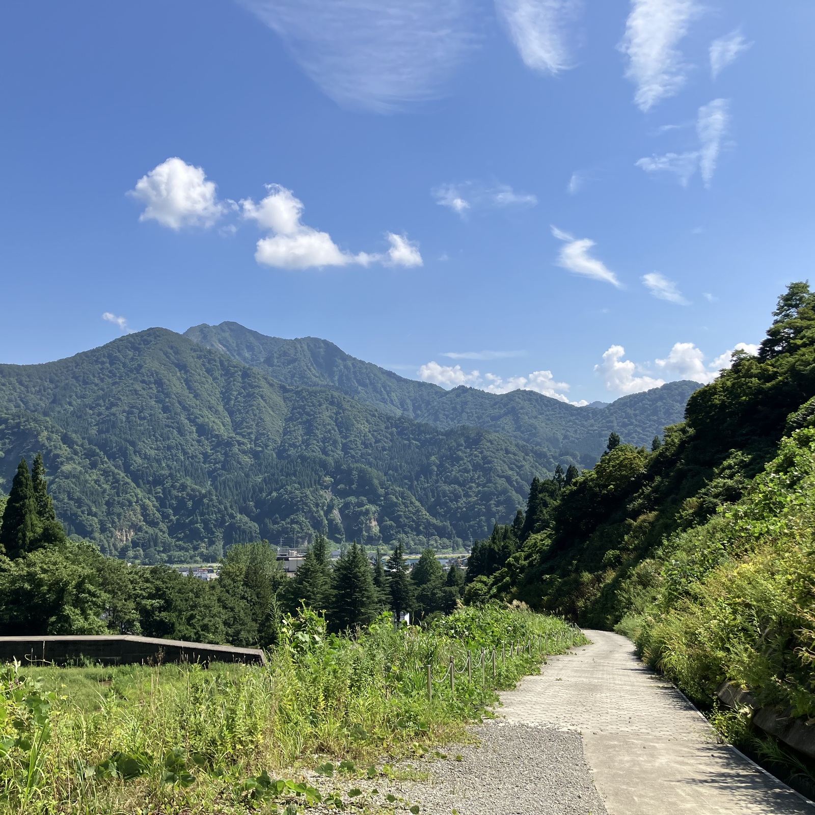 旅行に行きたい！