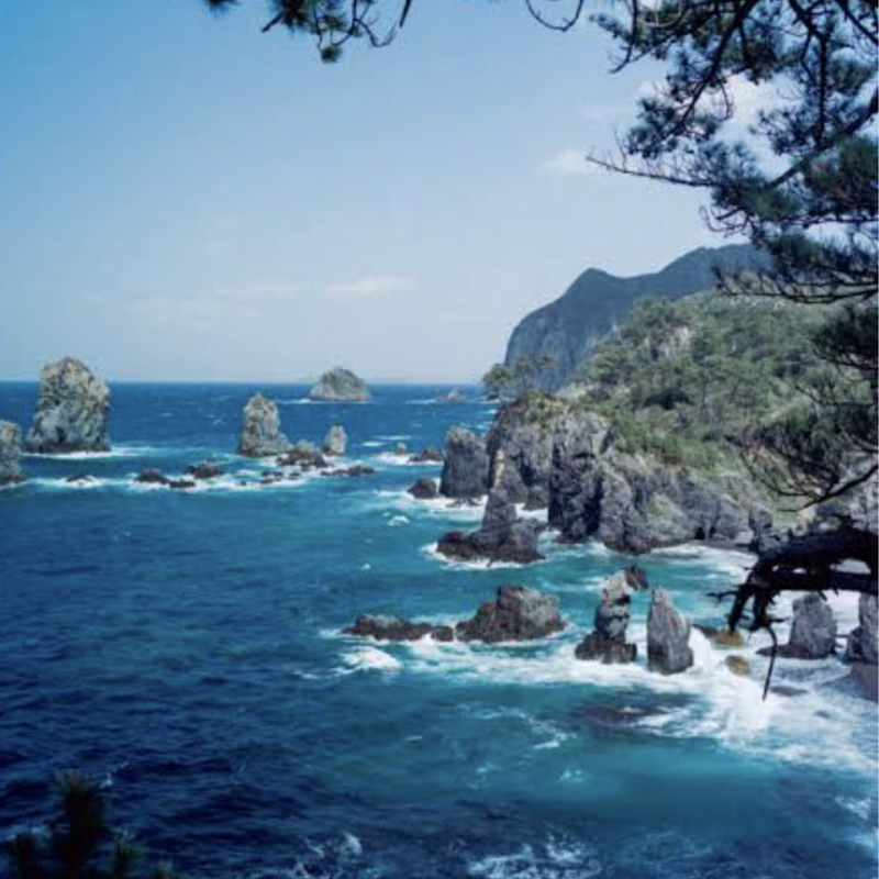 麻雀サークル