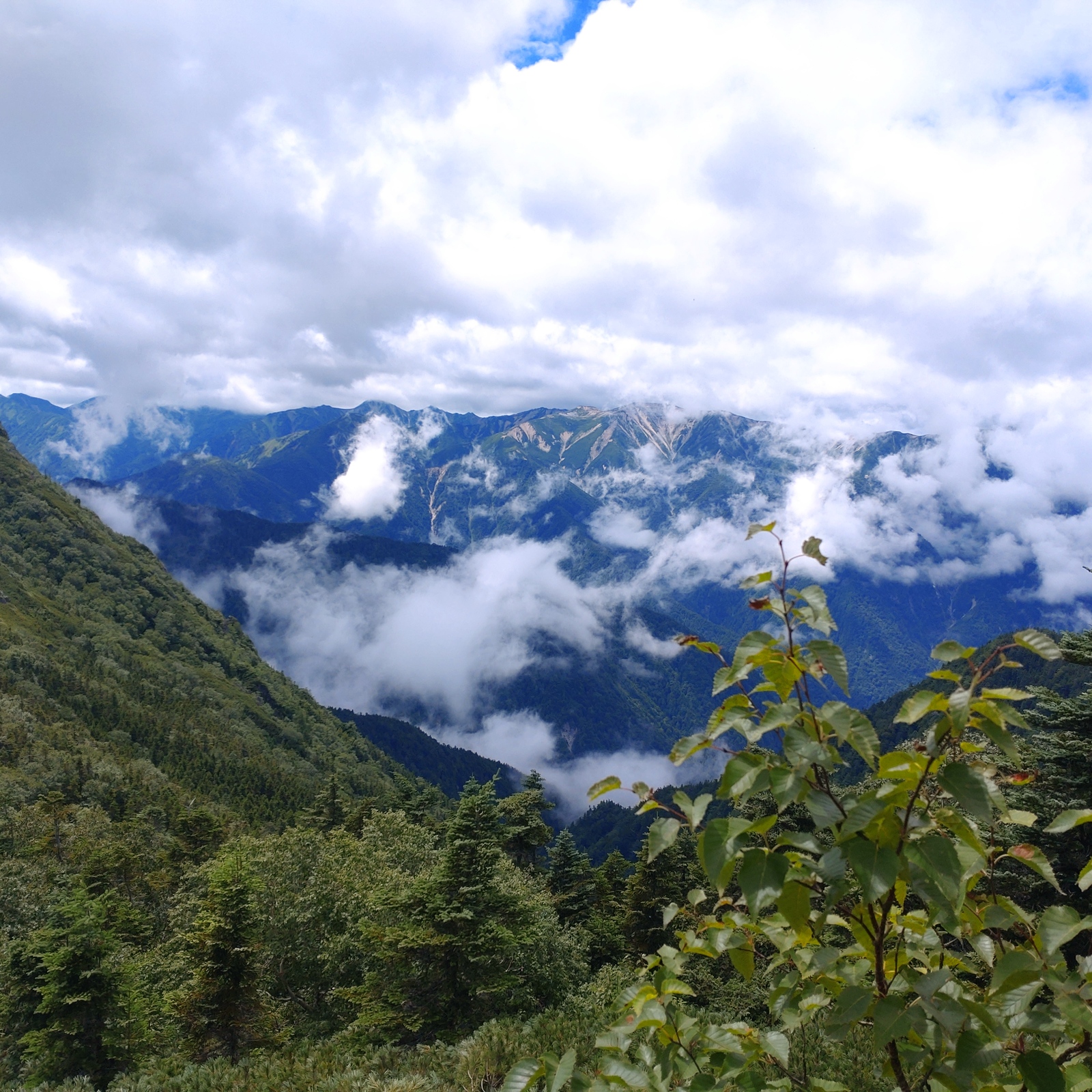 山山山山山