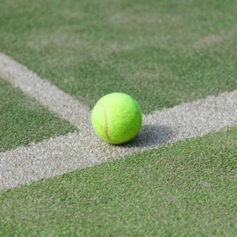 社会人　楽しく硬式テニス🎾
