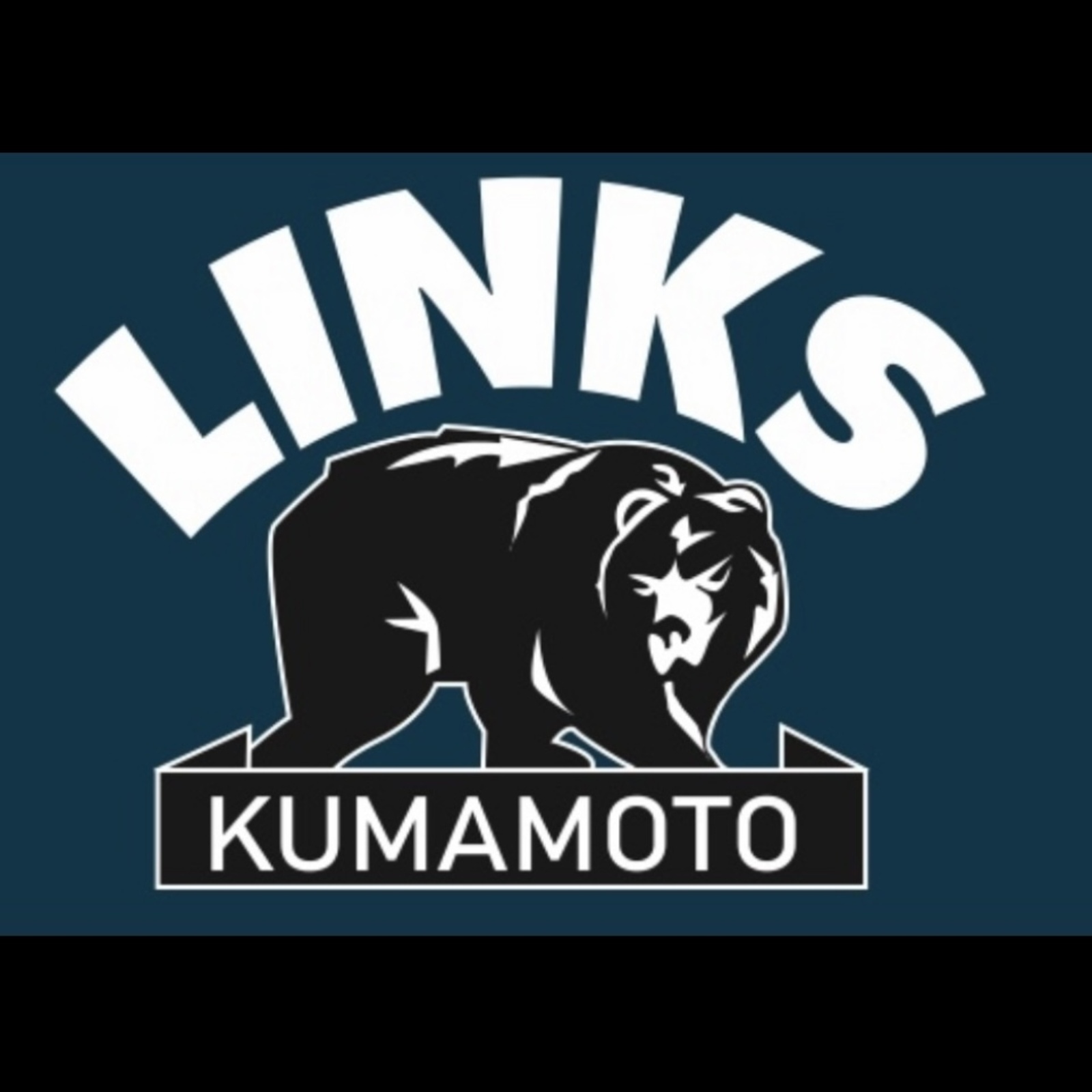 リンクス　インラインホッケー