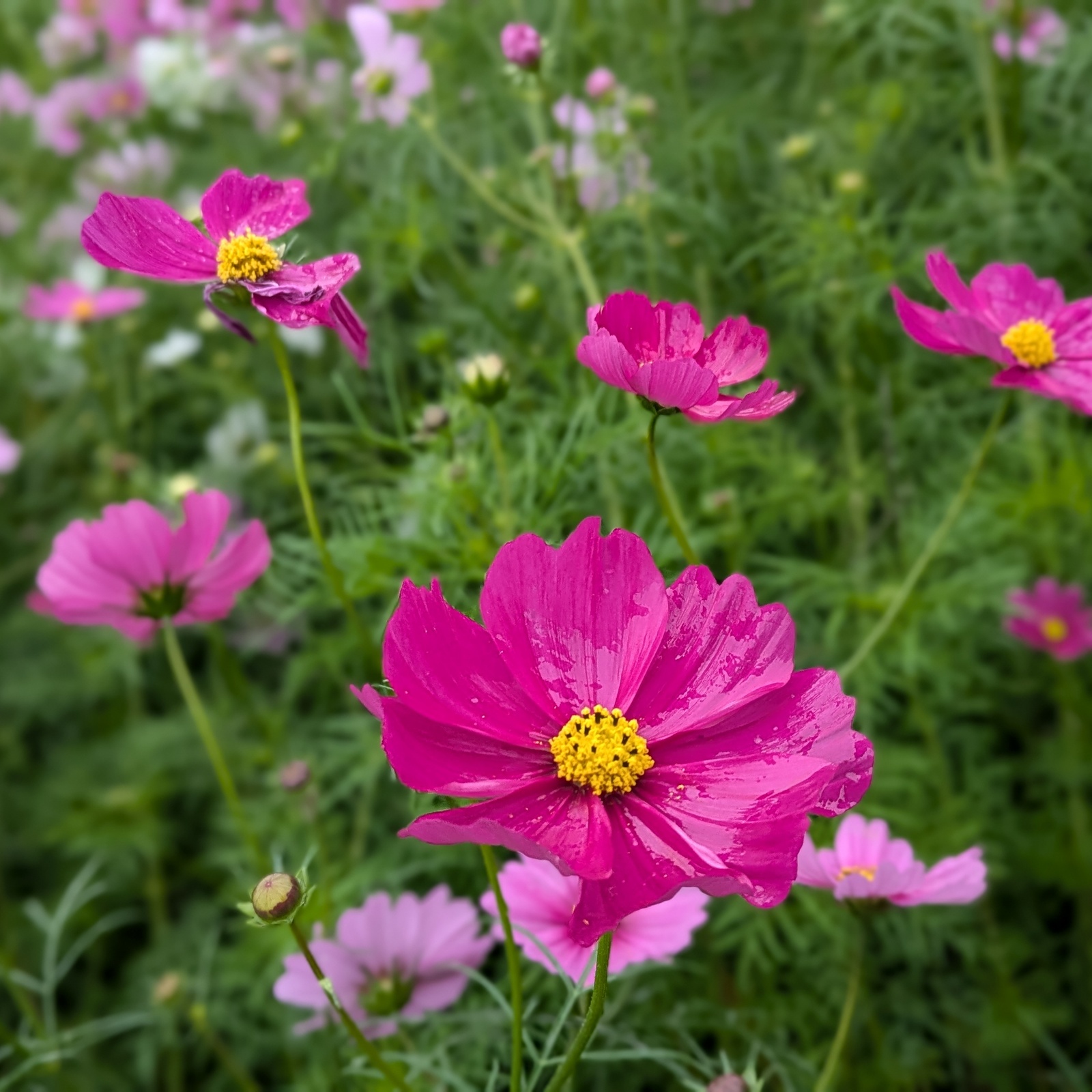 20代🥐大阪探索🍀🍀